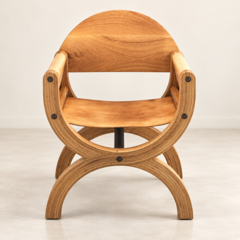 Bentwood Modern Armchair